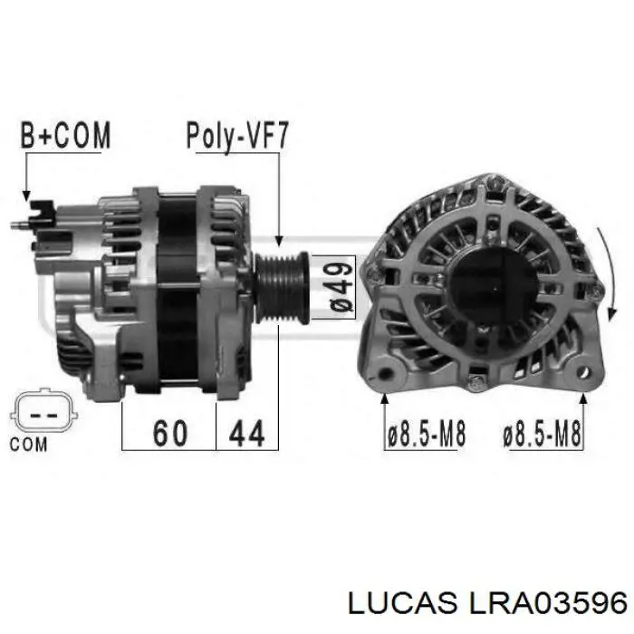 LRA03596 Lucas