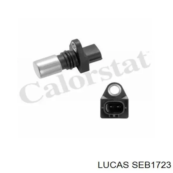SEB1723 Lucas