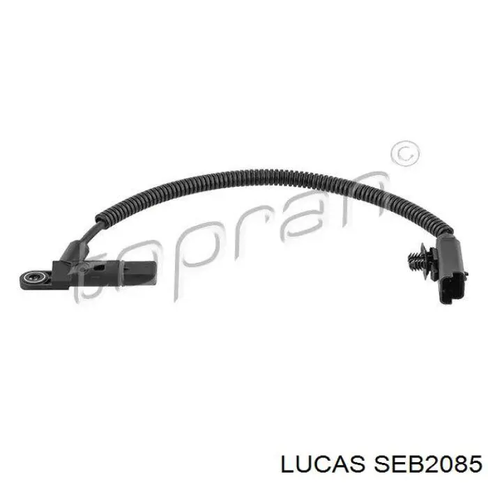 SEB2085 Lucas sensor de posição da árvore distribuidora