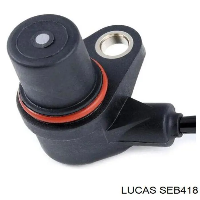 SEB418 Lucas