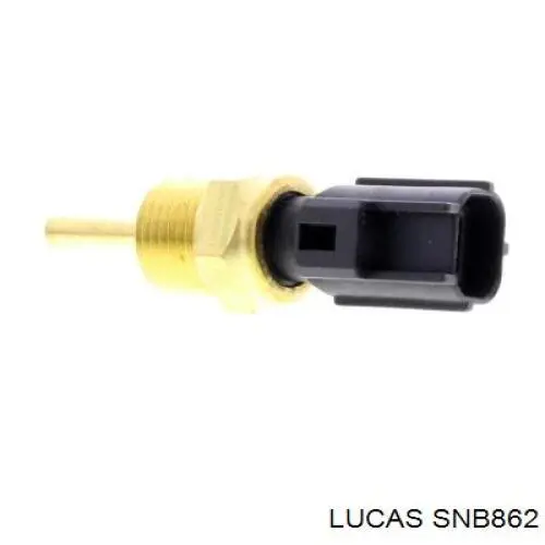 SNB862 Lucas