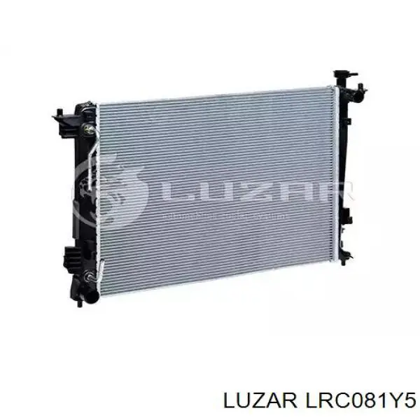 LRc081Y5 Luzar радиатор