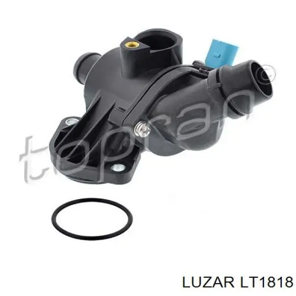 LT1818 Luzar