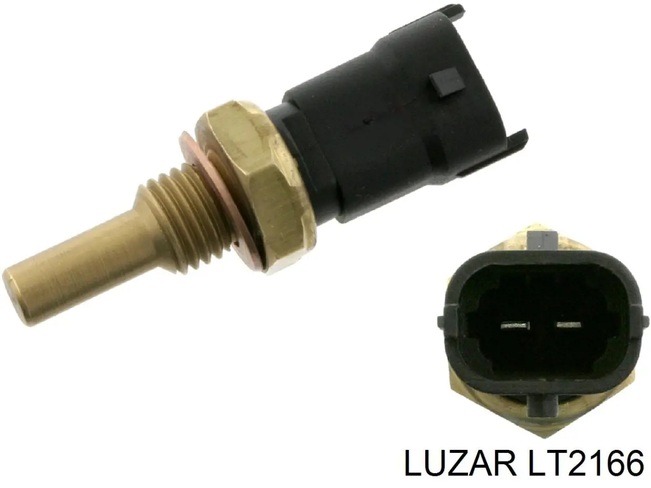 LT2166 Luzar