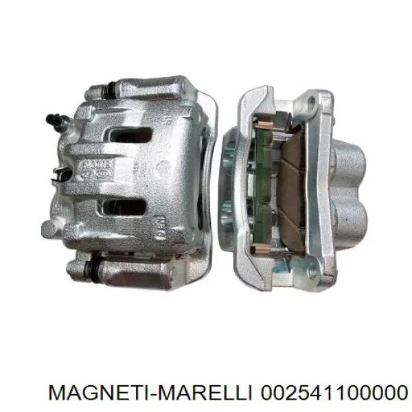 002541100000 Magneti Marelli Биксенон