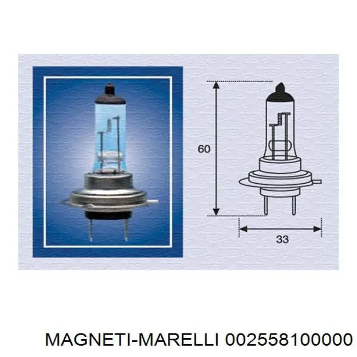 002558100000 Magneti Marelli