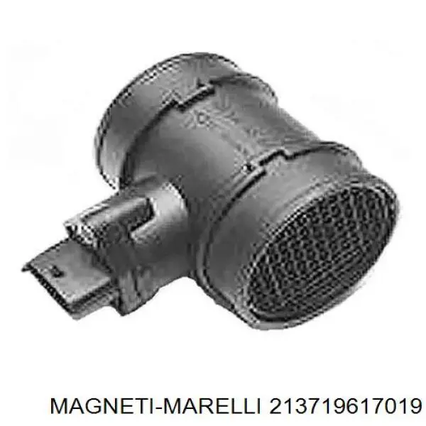 213719617019 Magneti Marelli дмрв