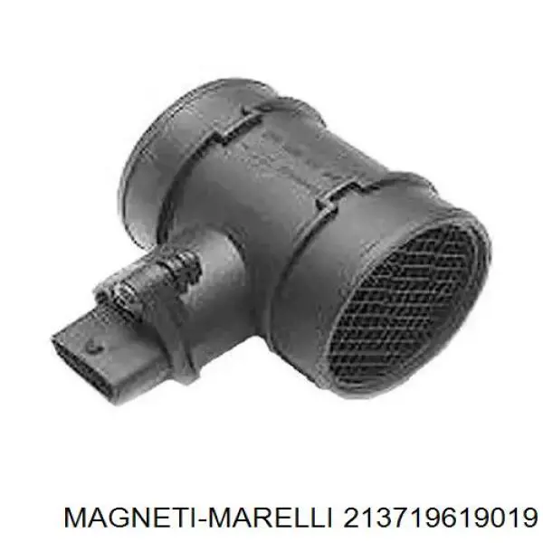 213719619019 Magneti Marelli дмрв