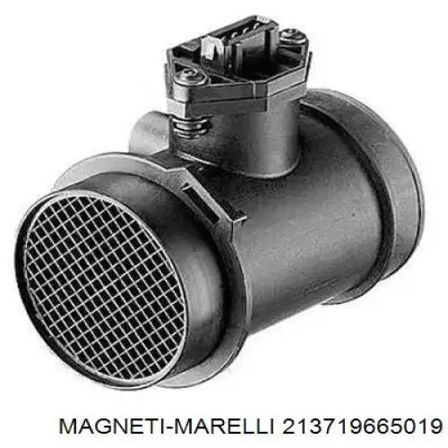 213719665019 Magneti Marelli дмрв