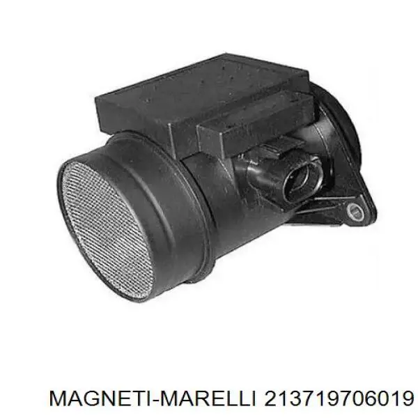 213719706019 Magneti Marelli дмрв