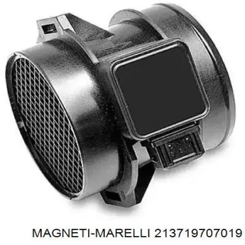 213719707019 Magneti Marelli дмрв