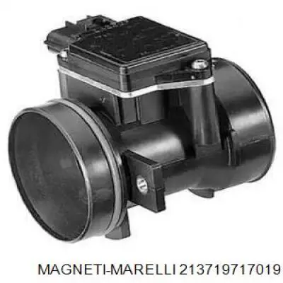 213719717019 Magneti Marelli дмрв