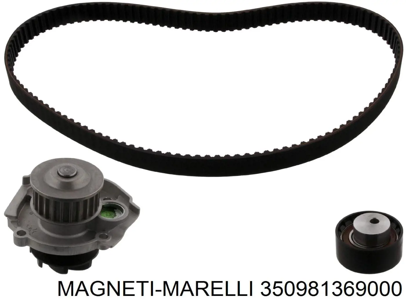 Водяной насос Magneti Marelli 350981369000