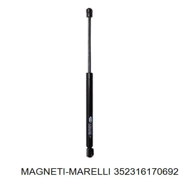Водяной насос Magneti Marelli 352316170692