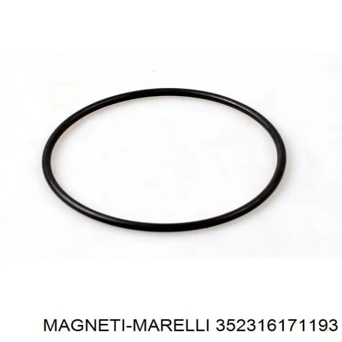 Водяной насос Magneti Marelli 352316171193