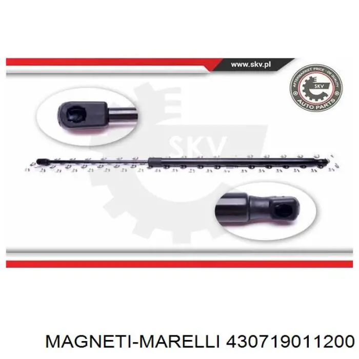 Амортизатор задней двери Magneti Marelli 430719011200 цена, от 9.97 USD