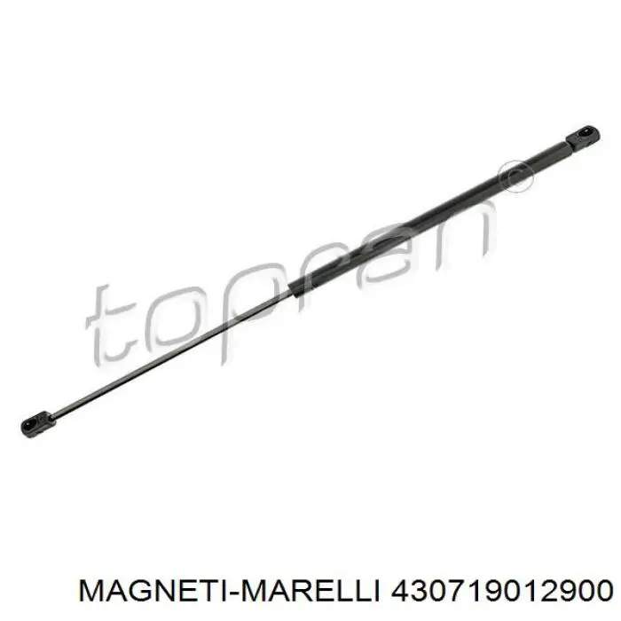 Амортизатор крышки багажника (двери 3/5-й задней) MAGNETI MARELLI 430719012900