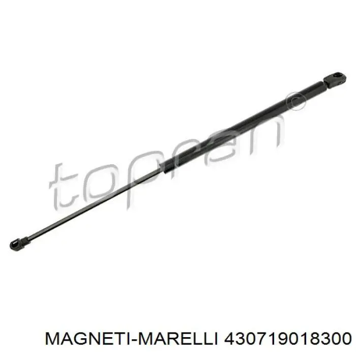 Амортизатор багажника 430719018300 Magneti Marelli