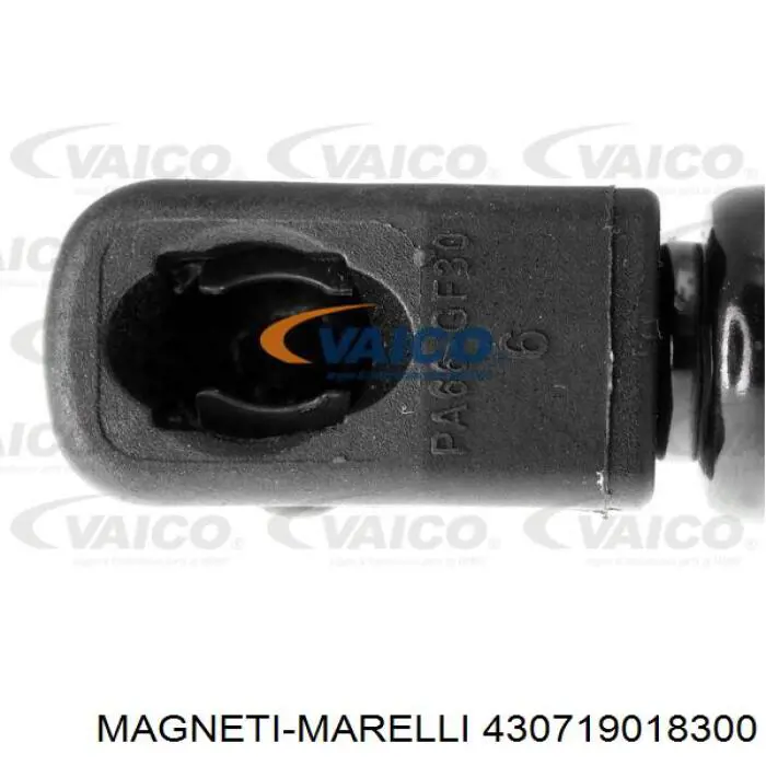Амортизатор задней двери Magneti Marelli 430719018300 цена, от 9.58 USD