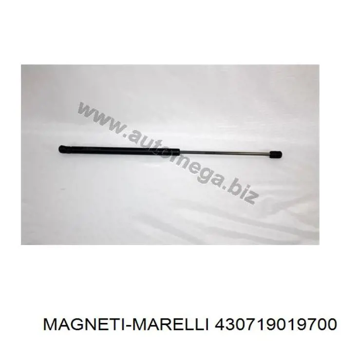 Амортизатор багажника 430719019700 Magneti Marelli
