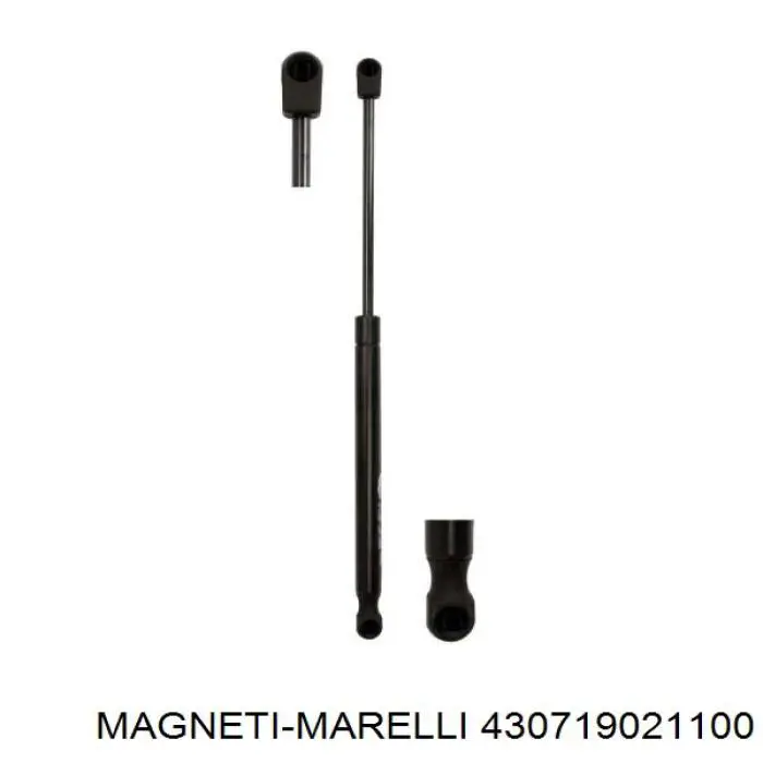Амортизатор задней двери Magneti Marelli 430719021100 цена, от 8.89 USD