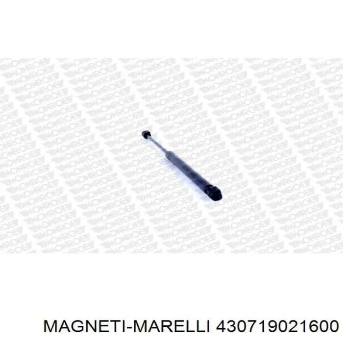 Амортизатор задней двери Magneti Marelli 430719021600 цена, от 9.34 USD