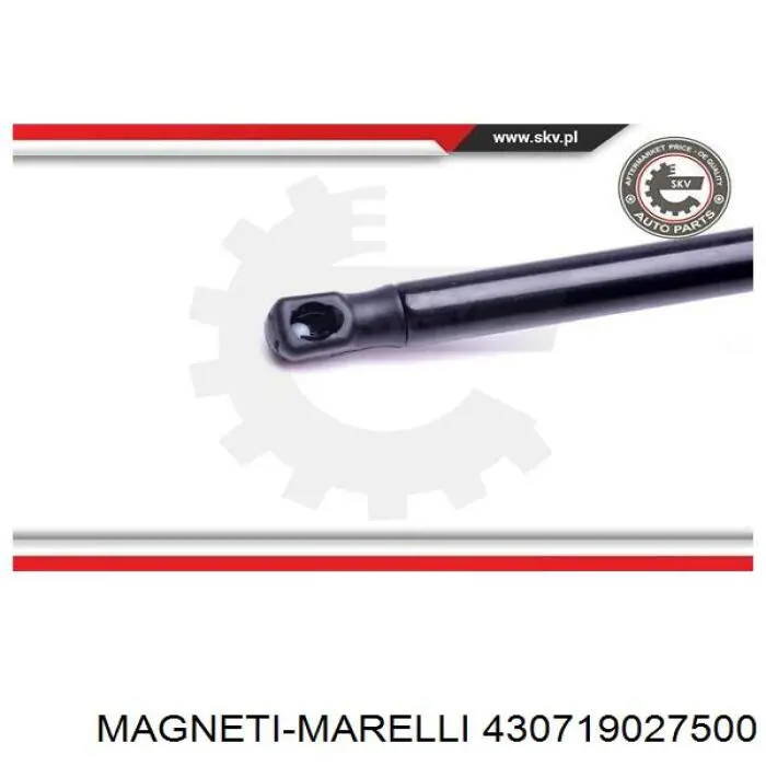 Амортизатор капота 430719027500 Magneti Marelli