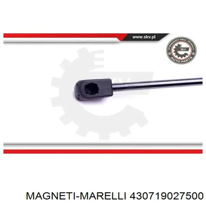 Купить 430719027500 Magneti Marelli Амортизатор под капот