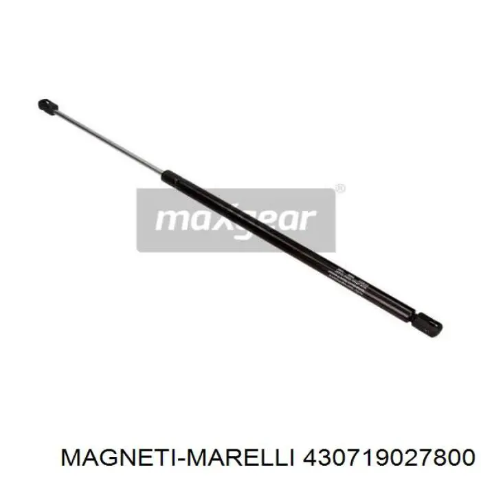 Амортизатор багажника 430719027800 Magneti Marelli