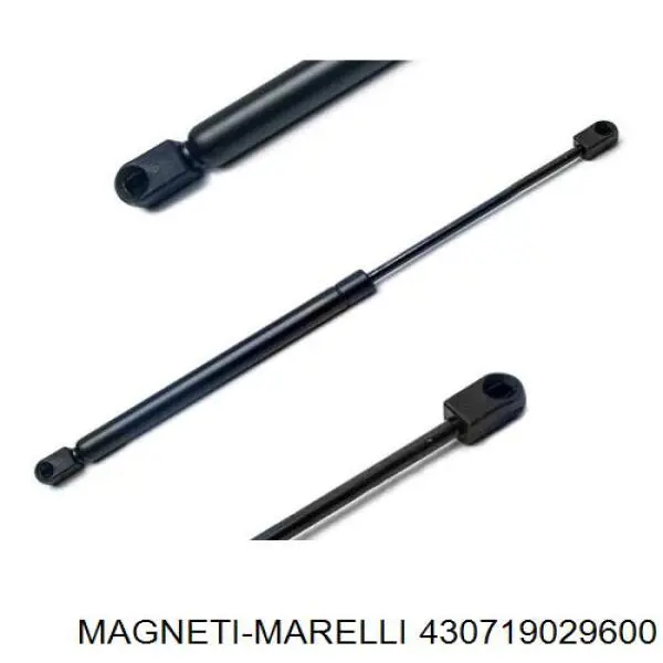 430719029600 Magneti Marelli