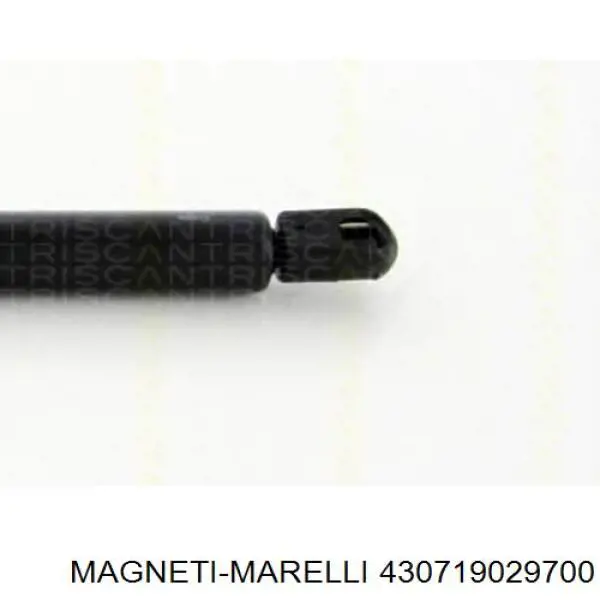 430719029700 Magneti Marelli амортизатор багажника