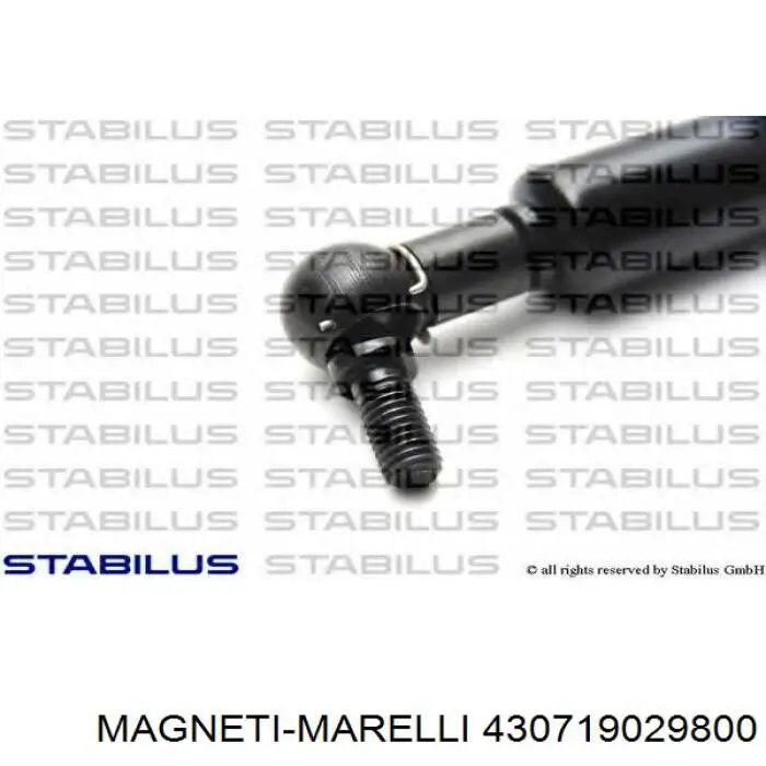 Амортизатор задней двери Magneti Marelli 430719029800 цена, от 10.11 USD