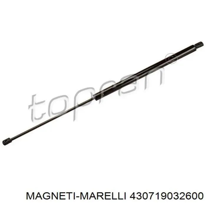 Амортизатор стекла багажника (двери 3/5-й задней (ляды) Magneti Marelli 430719032600 цена, от 17.43 USD