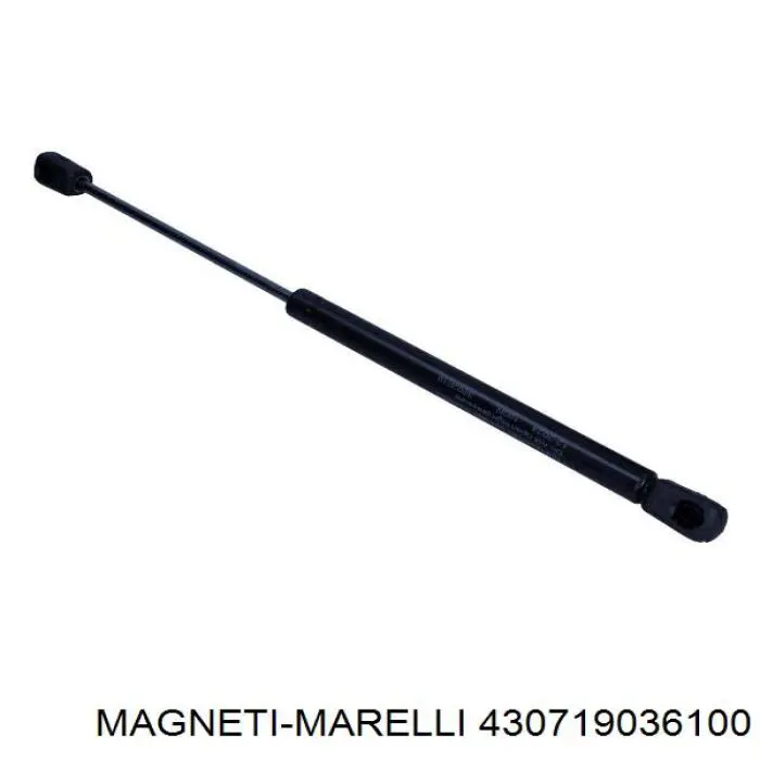 430719036100 Magneti Marelli amortecedor de tampa de porta-malas (de 3ª/5ª porta traseira)