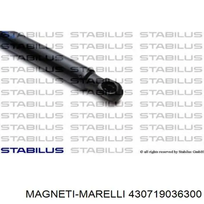 Амортизатор багажника 430719036300 Magneti Marelli