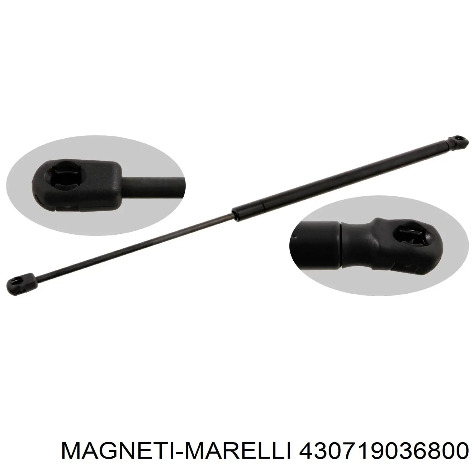 Амортизатор задней двери Magneti Marelli 430719036800 цена, от 10.82 USD