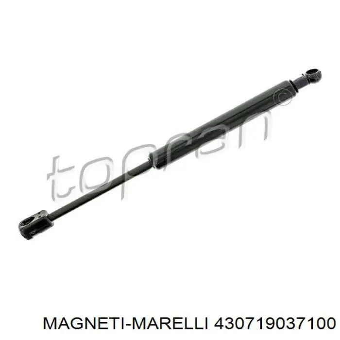 Amortiguador de maletero 430719037100 Magneti Marelli