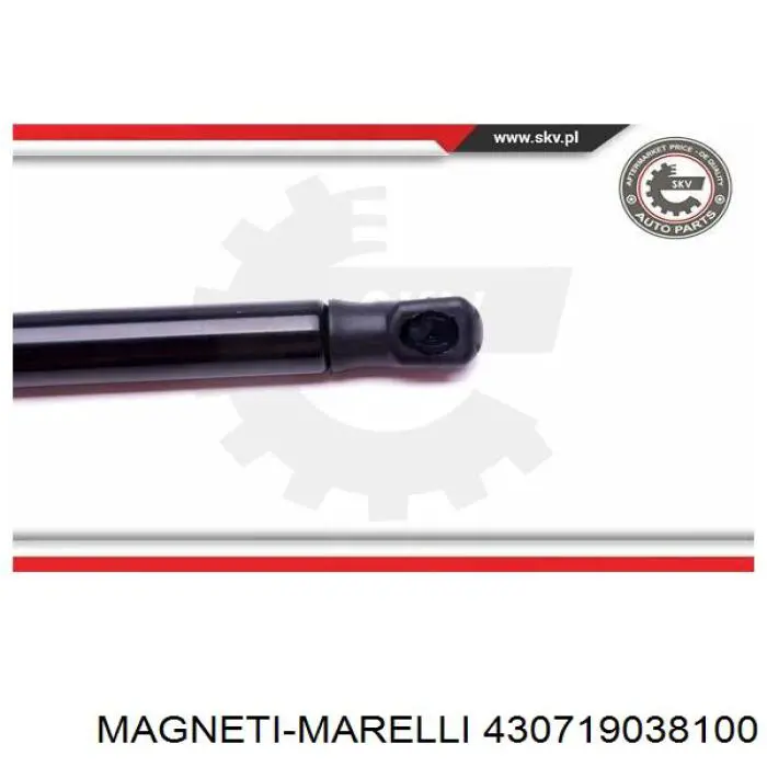 Амортизатор капота газовый Magneti Marelli 430719038100 цена, от 12.67 USD
