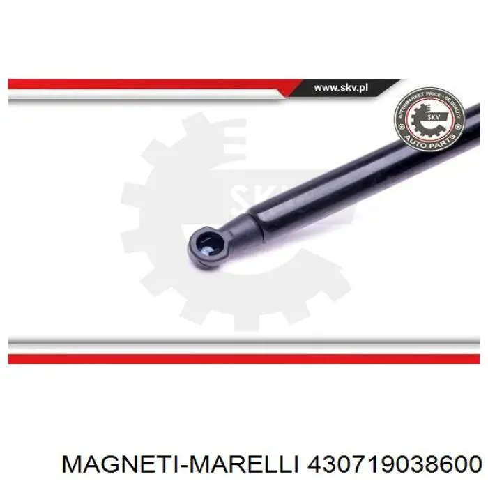 Амортизатор капота 430719038600 Magneti Marelli