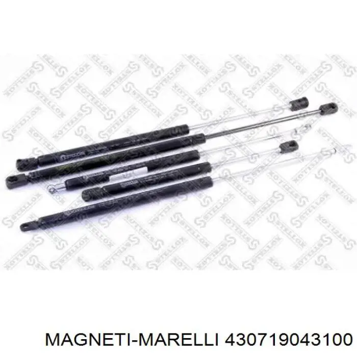 Амортизатор багажника 430719043100 Magneti Marelli