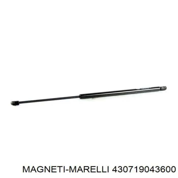 Амортизатор багажника 430719043600 Magneti Marelli