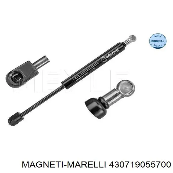 Купить 3724800 Starline Амортизатор двери багажника