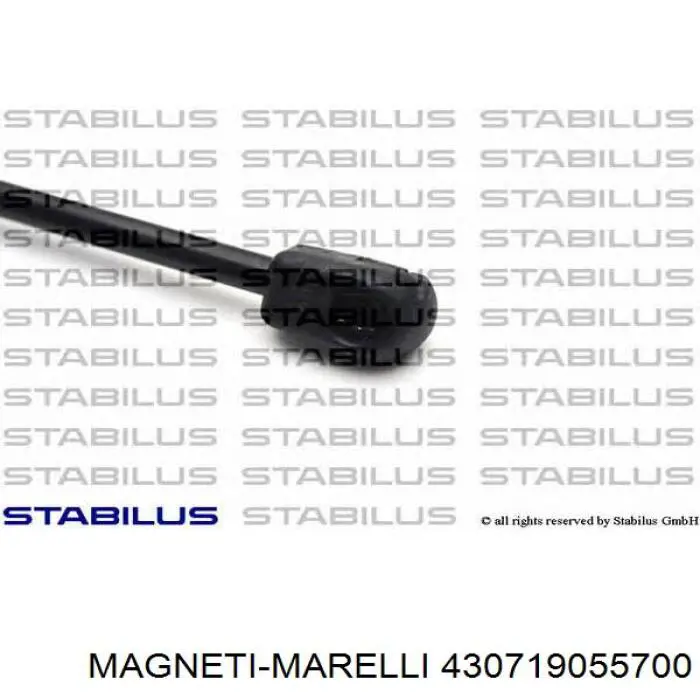 Амортизатор задней двери Magneti Marelli 430719055700 цена, от 10.17 USD