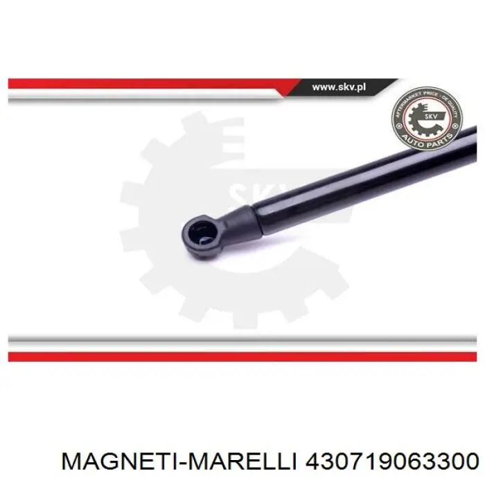 Купить 430719063300 Magneti Marelli Амортизатор двери багажника