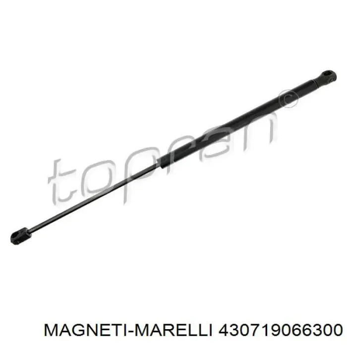 Купить 430719066300 Magneti Marelli Амортизатор двери багажника