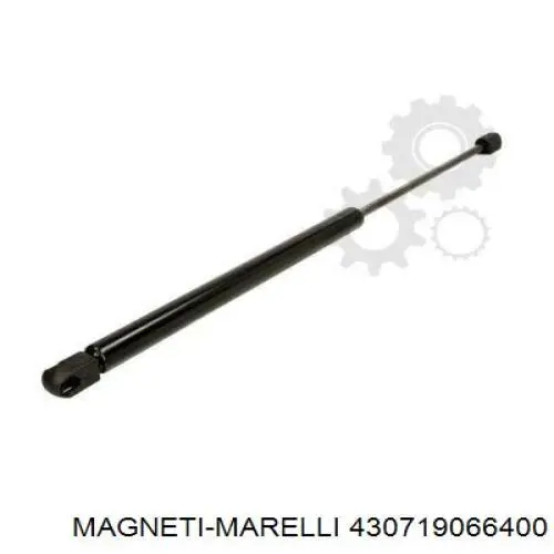 Амортизатор стекла багажника (двери 3/5-й задней (ляды) Magneti Marelli 430719066400 цена, от 11.62 USD