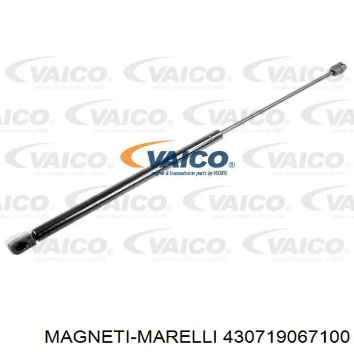 Амортизатор капота 430719067100 Magneti Marelli