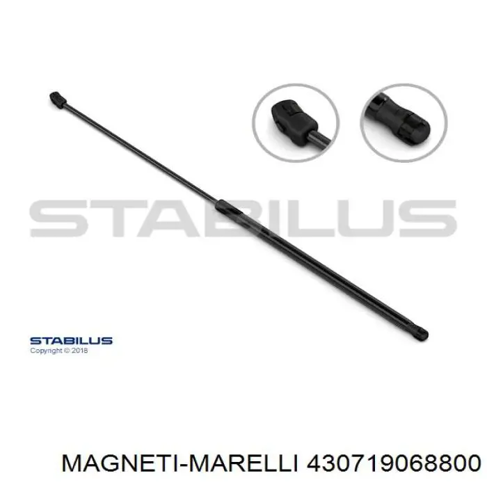 Muelle neumático, capó de motor 430719068800 Magneti Marelli