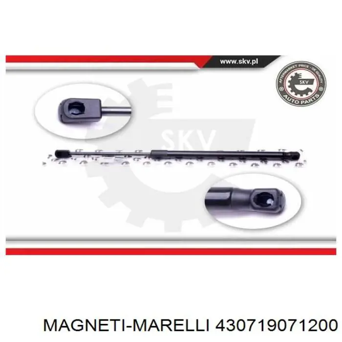 Amortiguador de maletero 430719071200 Magneti Marelli