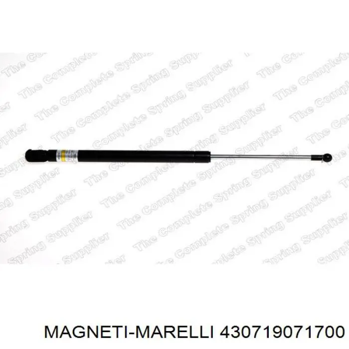  430719071700 Magneti Marelli